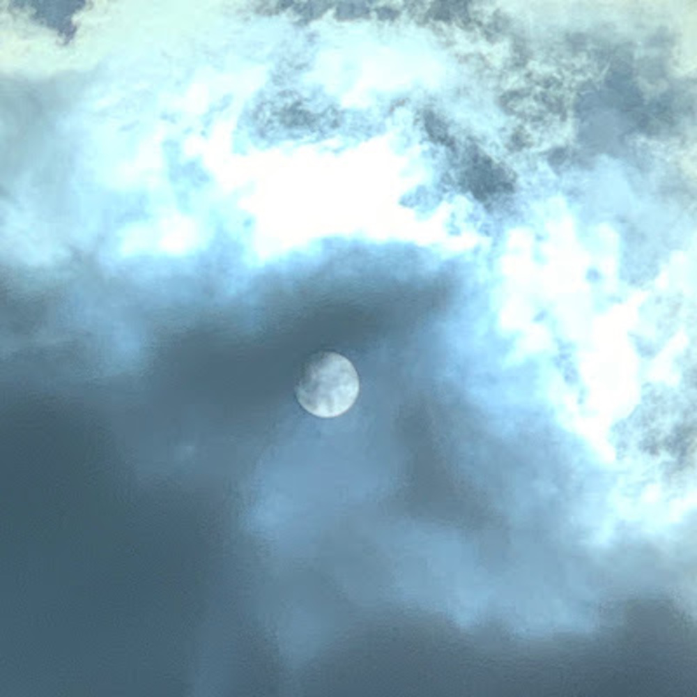 Meet your Posher, Esdhd